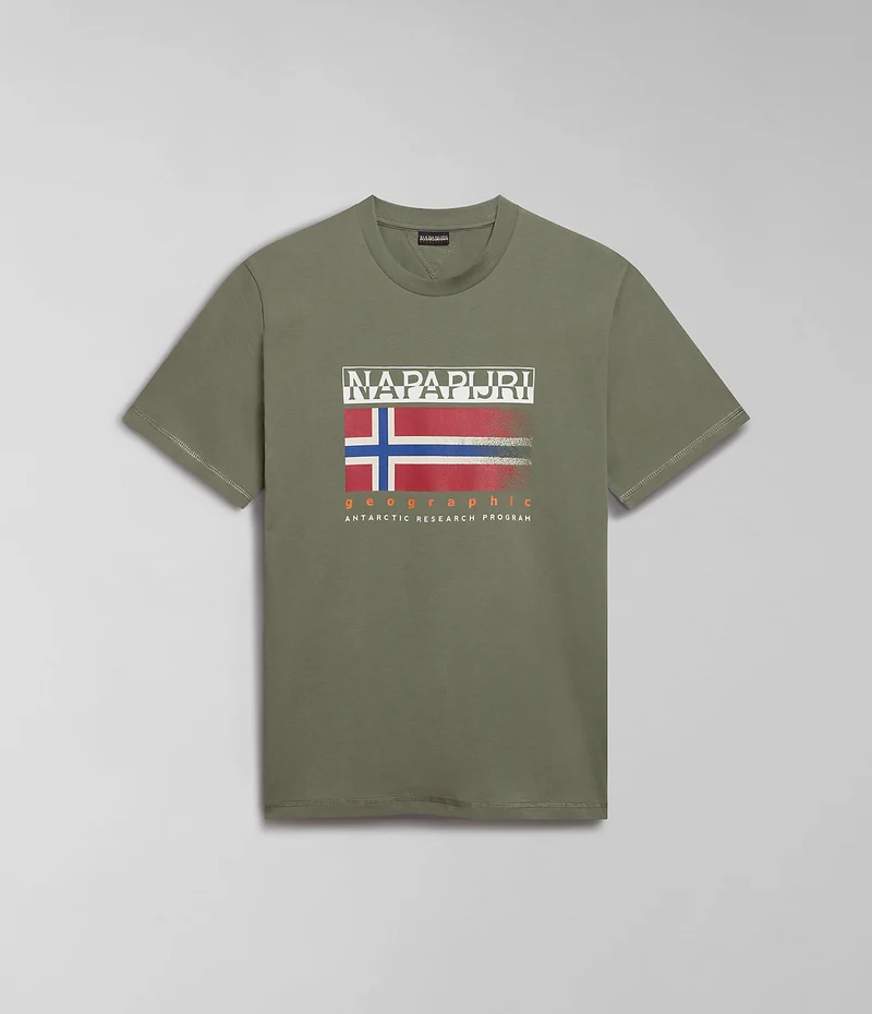 Napapijri Kreis Herren-T-Shirt - Grüne Flechte
