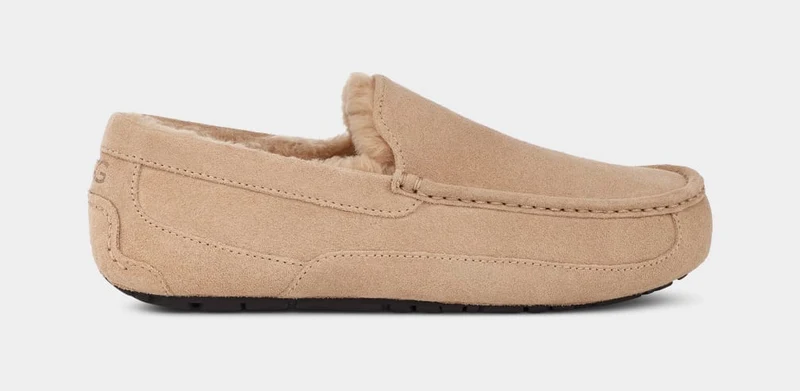 UGG Ascot-Hausschuhe für Herren | Sand