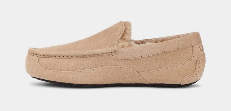 UGG Ascot-Hausschuhe für Herren | Sand