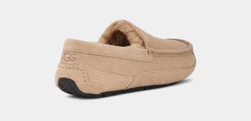 UGG Ascot-Hausschuhe für Herren | Sand