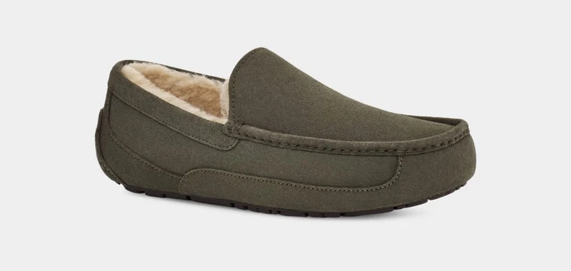 UGG Herren Ascot Slipper – Forest Night
