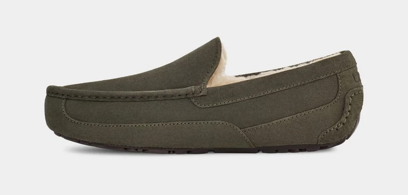 UGG Herren Ascot Slipper – Forest Night
