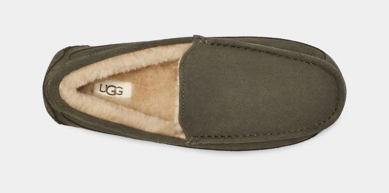 UGG Herren Ascot Slipper – Forest Night