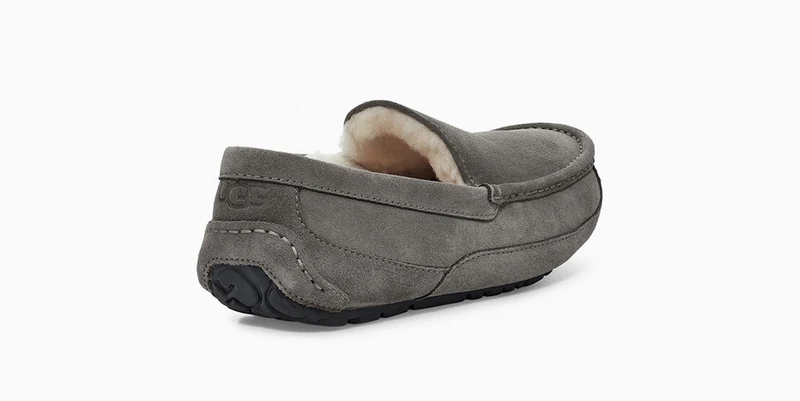 UGG Herren Ascot Slipper – Grau
