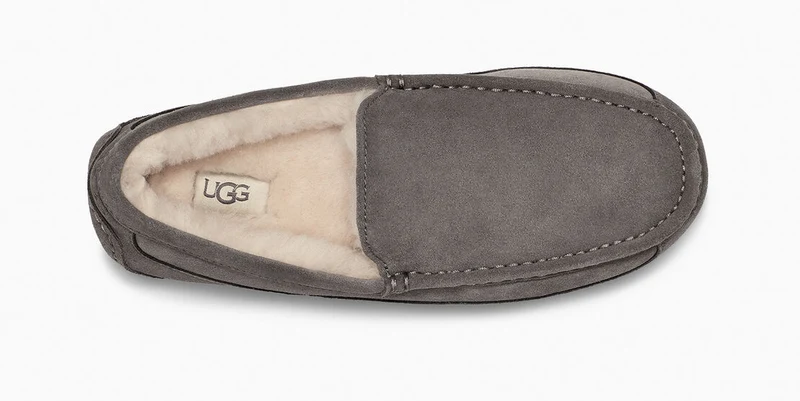 UGG Herren Ascot Slipper – Grau