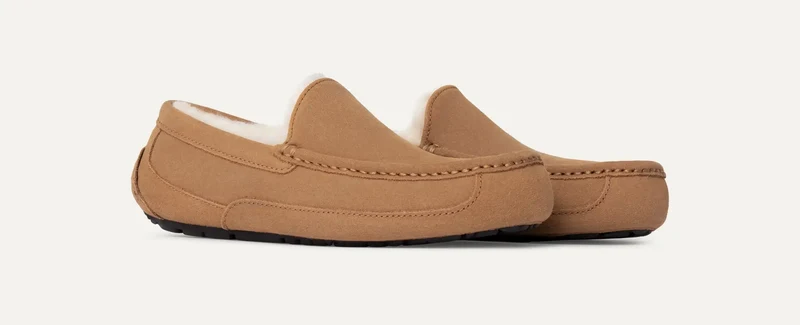 UGG Ascot-Hausschuhe für Herren | Kastanie