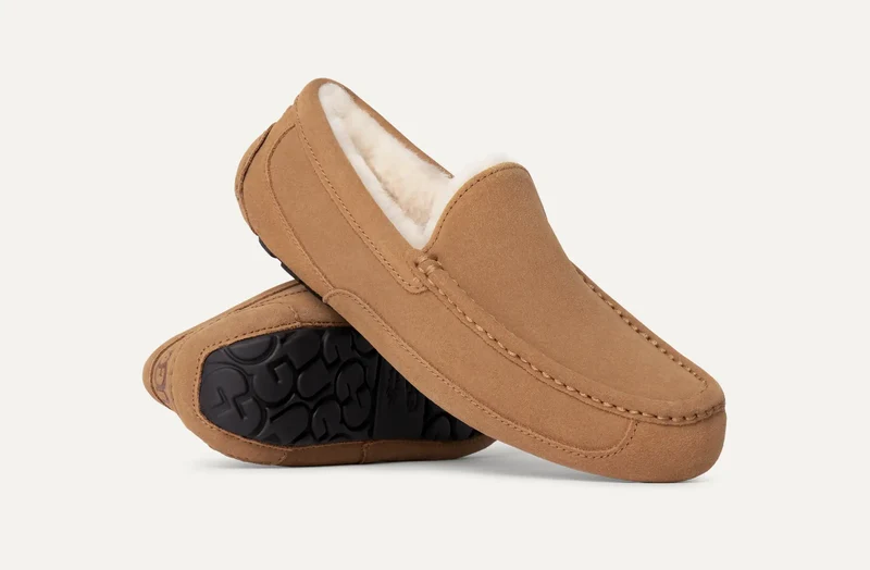 UGG Ascot-Hausschuhe für Herren | Kastanie