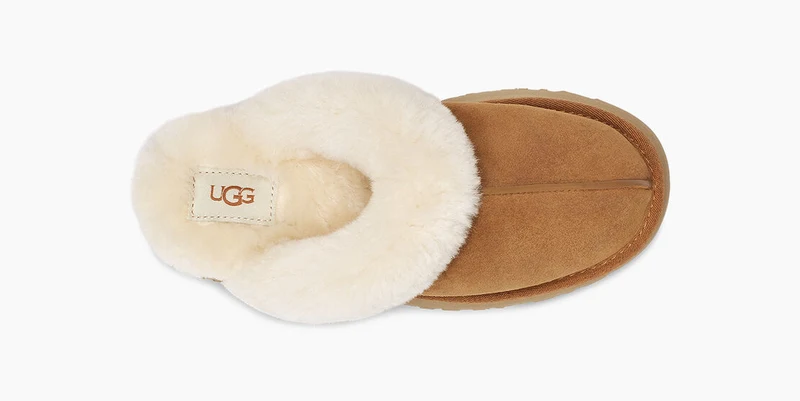UGG Disquette Plateau-Hausschuhe für Damen – Kastanie