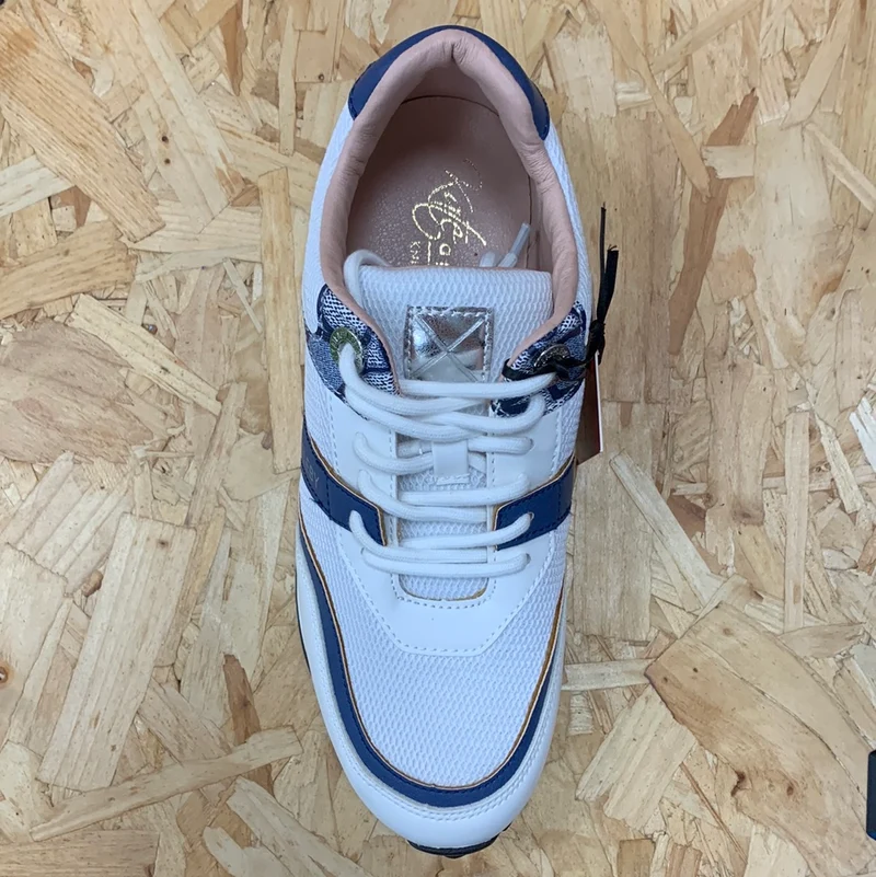 Kate Appleby Damen Pitlochry Trainer – Aqua Mix