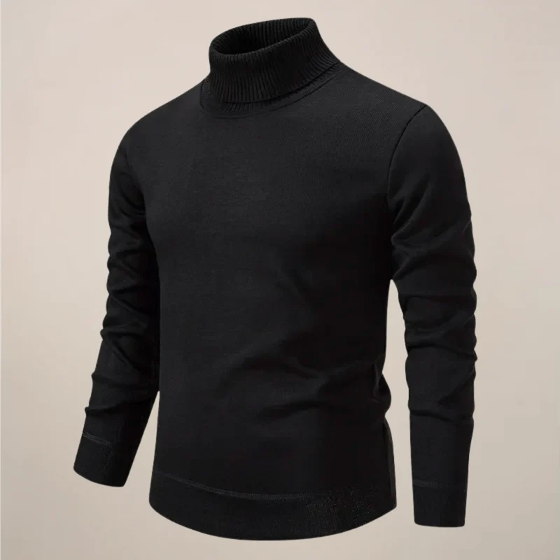 Alexander | Herren Frühlings Rollkragenpullover