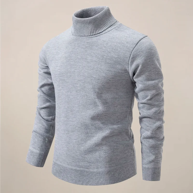 Alexander | Herren Frühlings Rollkragenpullover