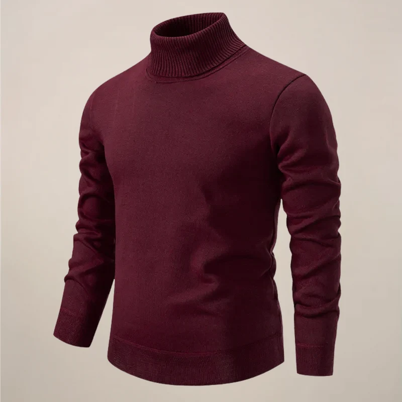 Alexander | Herren Frühlings Rollkragenpullover
