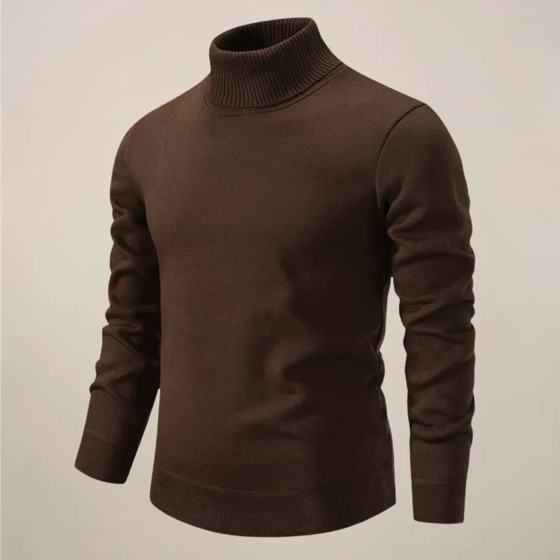 Alexander | Herren Frühlings Rollkragenpullover