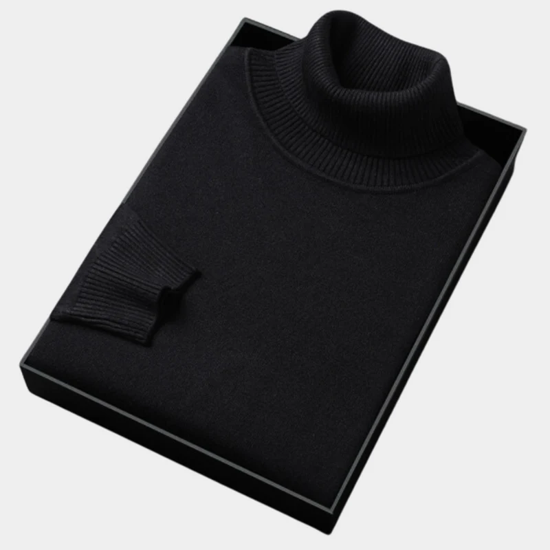 Daniel | Herren Frühlings Rollkragenpullover