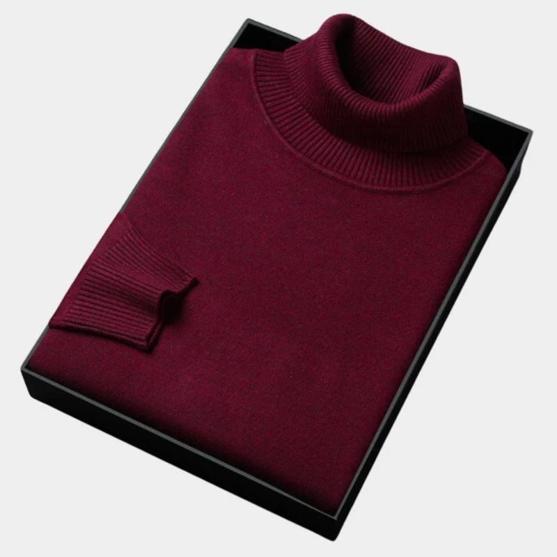 Daniel | Herren Frühlings Rollkragenpullover