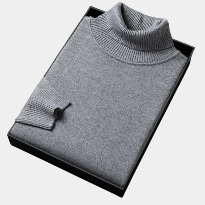 Daniel | Herren Frühlings Rollkragenpullover