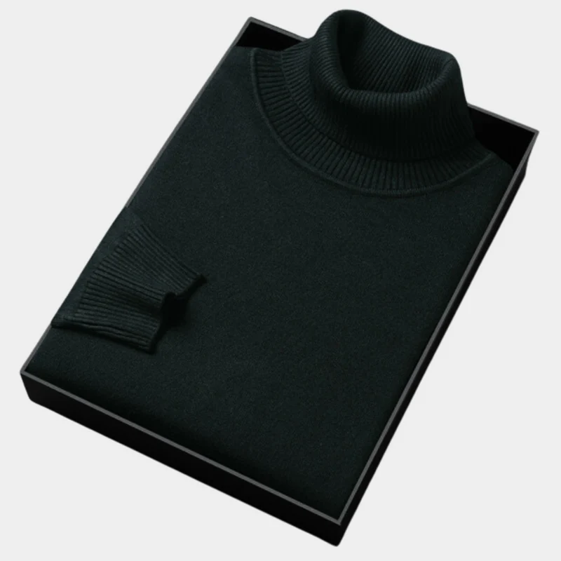 Daniel | Herren Frühlings Rollkragenpullover
