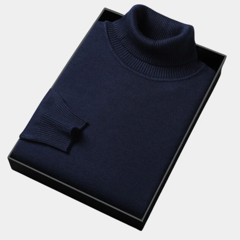Daniel | Herren Frühlings Rollkragenpullover