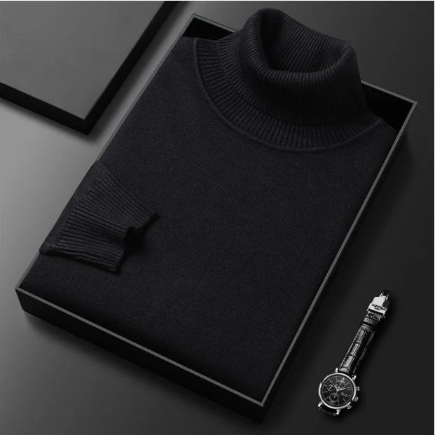 Armin | Herren Lässiger Rollkragenpullover für den Frühling