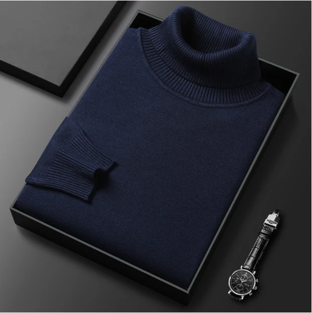 Armin | Herren Lässiger Rollkragenpullover für den Frühling