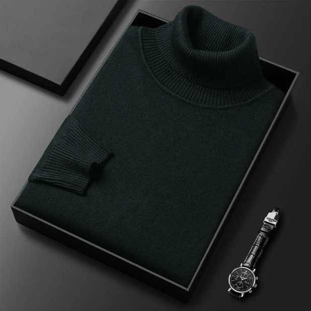 Armin | Herren Lässiger Rollkragenpullover für den Frühling