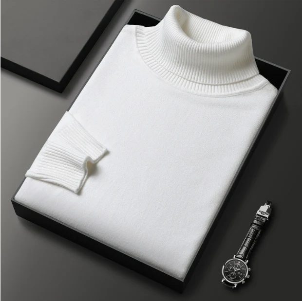 Armin | Herren Lässiger Rollkragenpullover für den Frühling