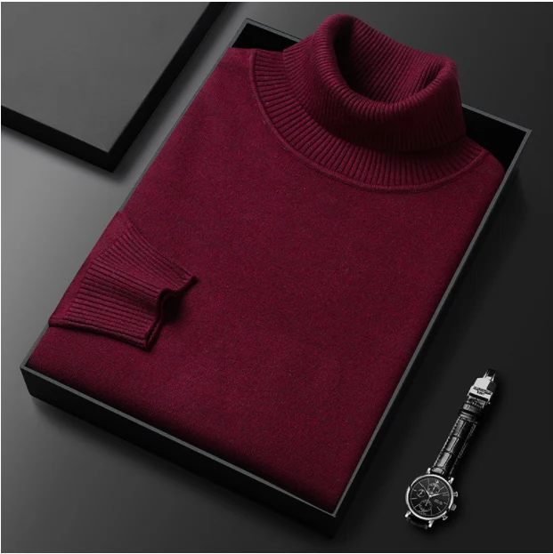 Armin | Herren Lässiger Rollkragenpullover für den Frühling