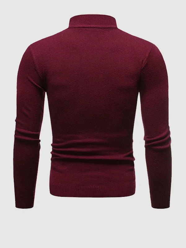 Alexander | Herren Frühlings Slim-Fit Rollkragenpullover