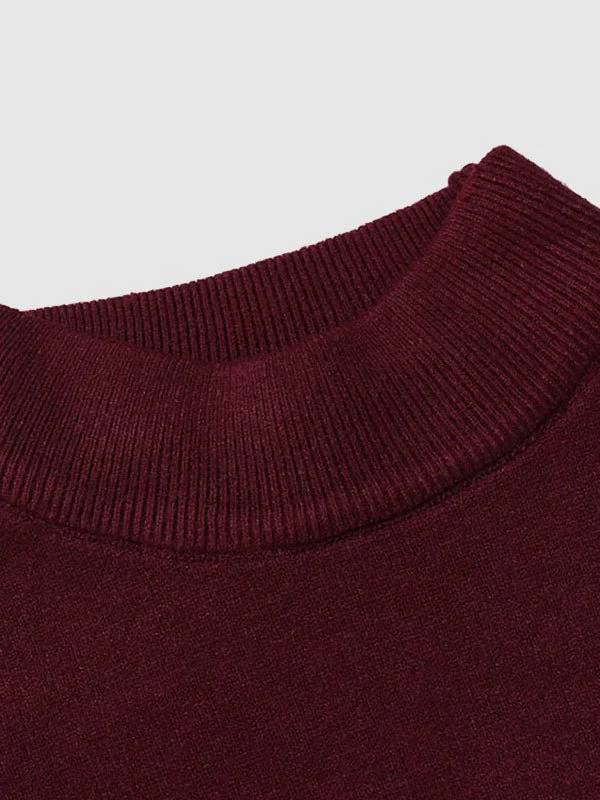 Alexander | Herren Frühlings Slim-Fit Rollkragenpullover