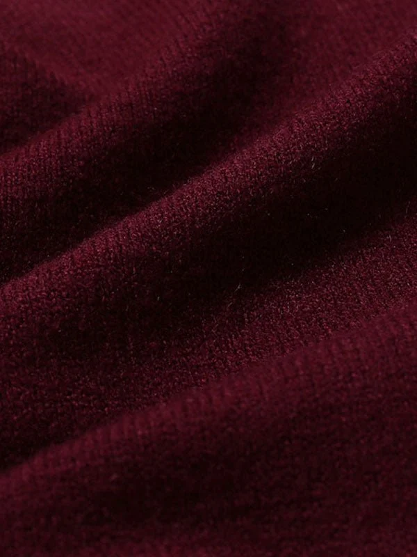 Alexander | Herren Frühlings Slim-Fit Rollkragenpullover