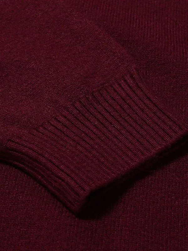 Alexander | Herren Frühlings Slim-Fit Rollkragenpullover