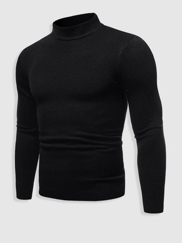 Alexander | Herren Frühlings Slim-Fit Rollkragenpullover