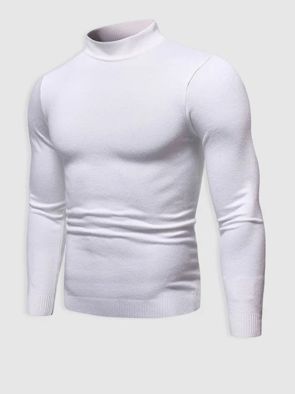 Alexander | Herren Frühlings Slim-Fit Rollkragenpullover
