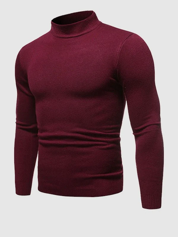 Alexander | Herren Frühlings Slim-Fit Rollkragenpullover