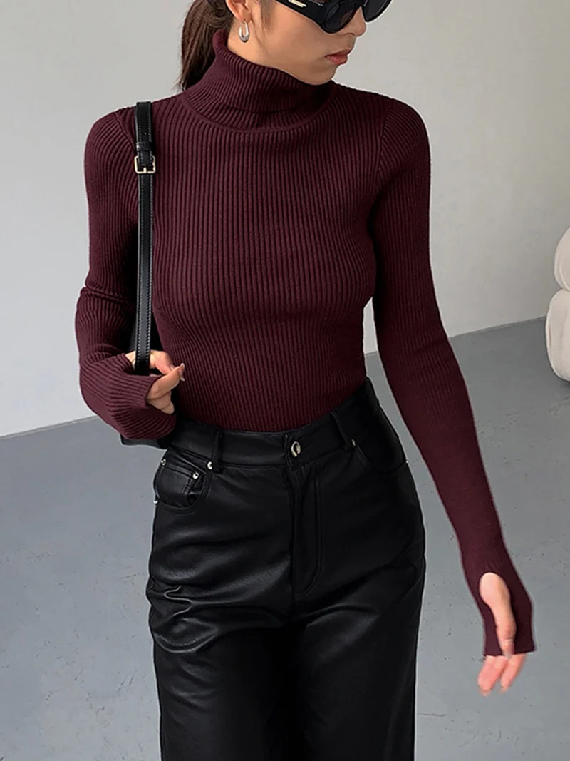 Jennifer | Damen Frühlings Stilvoller Gerippter Rollkragenpullover