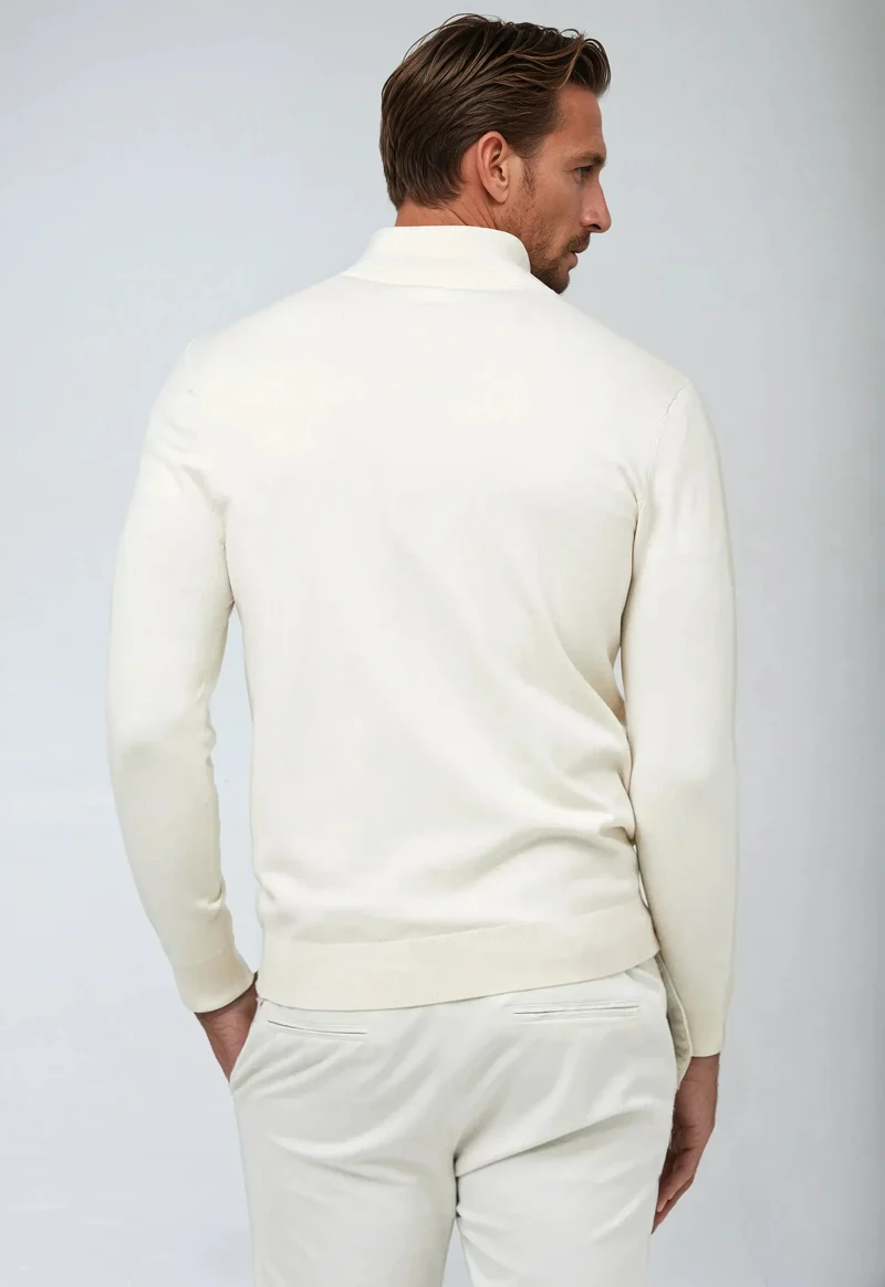 Hagen | Herren Lässiger Pullover mit Reißverschluss am Kragen